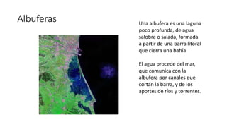 Albuferas Una albufera es una laguna
poco profunda, de agua
salobre o salada, formada
a partir de una barra litoral
que cierra una bahía.
El agua procede del mar,
que comunica con la
albufera por canales que
cortan la barra, y de los
aportes de ríos y torrentes.