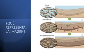 ¿QUÉ
REPRESENTA
LA IMAGEN?