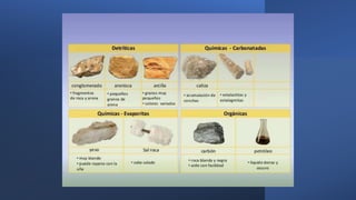 Procesos geológicos externos.pptx