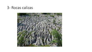 3- Rocas calizas