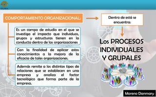 Procesos individuales y grupales en el comportamiento organizacional