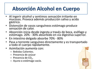 Efectos Alcohol en Organismo
• En hígado células hepáticas lo metabolizan transformándolo
en Acetaldehído y luego en Aceta...