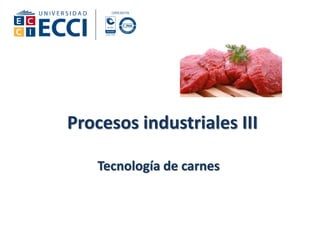Procesos industriales III
Tecnología de carnes
 
