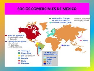 SOCIOS COMERCIALES DE MÉXICO




                               95
 