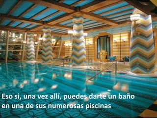 Eso si, una vez allí, puedes darte un baño
en una de sus numerosas piscinas....
                                             446
 