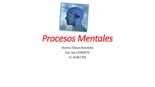 Procesos Mentales
Alumna: Sheyny Ranalletta
Exp: hps-12100357V
CI: 16.867.393
 
