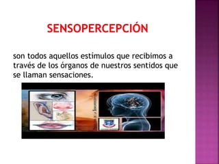 son todos aquellos estímulos que recibimos a
través de los órganos de nuestros sentidos que
se llaman sensaciones.