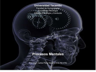 Procesos Mentales
Universidad Yacambú
Facultad de Humanidades
Escuela de Psicología
Cátedra: Fisiología y Conducta
Por: Juan Carlos Pérez Serafín (V-6.792.479)
 