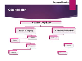 Procesos Mentales
Clasificación
Procesos Cognitivos
Básicos (o simples)
Atención
Memoria
Percepción
Sensación
Superiores (o complejos)
Inteligencia
Lenguaje
Pensamiento
 