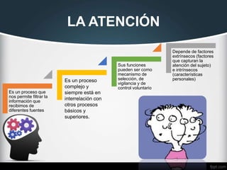 LA ATENCIÓN
Es un proceso que
nos permite filtrar la
información que
recibimos de
diferentes fuentes
Sus funciones
pueden ser como
mecanismo de
selección, de
vigilancia y de
control voluntario
Depende de factores
extrínsecos (factores
que capturan la
atención del sujeto)
e intrínsecos
(características
personales)Es un proceso
complejo y
siempre está en
interrelación con
otros procesos
básicos y
superiores.
 