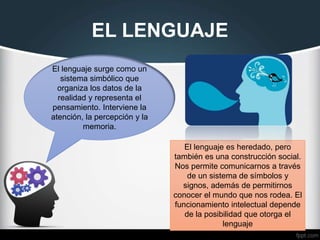 EL LENGUAJE
El lenguaje surge como un
sistema simbólico que
organiza los datos de la
realidad y representa el
pensamiento. Interviene la
atención, la percepción y la
memoria.
El lenguaje es heredado, pero
también es una construcción social.
Nos permite comunicarnos a través
de un sistema de símbolos y
signos, además de permitirnos
conocer el mundo que nos rodea. El
funcionamiento intelectual depende
de la posibilidad que otorga el
lenguaje
 