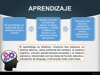 APRENDIZAJE
El aprendizaje se
desarrolla en un
contexto social y
cultural
Implica conocer,
comprender,
aplicar, analizar,
sintetizar y valorar.
Conlleva un
cambio en la
estructura física
del cerebro.
Necesita tres
factores:
inteligencia,
conocimientos
previos,
experiencia y
motivación.
El aprendizaje es dinámico. Involucra tres sistemas: el
sistema afectivo, (área prefrontal del cerebro); el sistema
cognitivo, (circuito parieto-temporo-occipital) y el sistema
expresivo, relacionado con las áreas de función ejecutiva,
articulación de lenguaje y homúnculo motor entre otras.
 