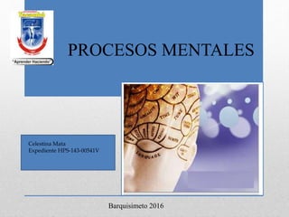 PROCESOS MENTALES
Barquisimeto 2016
Celestina Mata
Expediente HPS-143-00541V
 