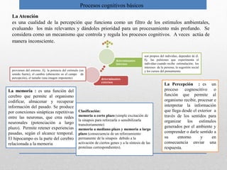 Clasificación:
memoria a corto plazo (simple excitación de
la sinapsis para reforzarla o sensibilizarla
transitoriamente)
memoria a mediano plazo y memoria a largo
plazo (consecuencia de un reforzamiento
permanente de la sinapsis debido a la
activación de ciertos genes y a la síntesis de las
proteínas correspondientes).
Procesos cognitivos básicos
La Atención
es una cualidad de la percepción que funciona como un filtro de los estímulos ambientales,
evaluando los más relevantes y dándoles prioridad para un procesamiento más profundo. Se
considera como un mecanismo que controla y regula los procesos cognitivos. A veces actúa de
manera inconsciente.
determinantes
externos
determinantes
internos
son propios del individuo, dependen de él.
Ej. las pulsiones que experimenta el
individuo cuando recibe estimulación; los
intereses de la persona; la sugestión social
y los cursos del pensamientoprovienen del entorno. Ej. la potencia del estímulo (un
sonido fuerte), el cambio (alteración en el campo de
percepción), el tamaño (una imagen imponente)
La memoria : es una función del
cerebro que permite al organismo
codificar, almacenar y recuperar
información del pasado. Se produce
por conexiones sinápticas repetitivas
entre las neuronas, que crea redes
neuronales (potenciación a largo
plazo). Permite retener experiencias
pasadas, según el alcance temporal.
El hipocampo es la parte del cerebro
relacionada a la memoria
La Percepción : es un
proceso cognoscitivo o
función que permite al
organismo recibir, procesar e
interpretar la información
que llega desde el exterior a
través de los sentidos para
organizar los estímulos
generados por el ambiente y
comprender o darle sentido a
su entorno y en
consecuencia enviar una
respuesta.
 