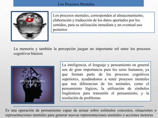 Los procesos mentales, corresponden al almacenamiento,
elaboración y traducción de los datos aportados por los
sentidos, para su utilización inmediata y un eventual uso
posterior.
La memoria y también la percepción juegan un importante rol entre los procesos
cognitivos básicos
La inteligencia, el lenguaje y pensamiento en general
son de gran importancia para los seres humanos, ya
que forman parte de los procesos cognitivos
superiores, ayudándonos a tener procesos mentales
que nos diferencian de los animales, como el
pensamiento lógicos, la utilización de símbolos
lingüísticos para transmitir el pensamiento, y la
resolución de problemas
Es una operación de pensamiento capaz de actuar sobre estímulos concretos, situaciones o
representaciones mentales para generar nuevas representaciones mentales o acciones motoras
Los Procesos Mentales
 