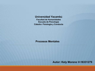Procesos Mentales
Universidad Yacambú
Facultad de Humanidades
Escuela de Psicología
Cátedra: Fisiología y Conducta
Autor: Kely Moreno V-16331279
 