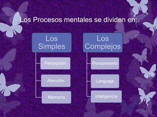 Los Procesos mentales se dividen en:
Los
Simples
Percepción
Atención
Memoria
Los
Complejos
Pensamiento
Lenguaje
Inteligencia
 