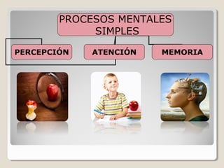 PROCESOS MENTALES
SIMPLES
PERCEPCIÓN ATENCIÓN MEMORIA
 