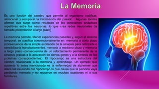 Es una función del cerebro que permite al organismo codificar,
almacenar y recuperar la información del pasado. Algunas teorías
afirman que surge como resultado de las conexiones sinápticas
repetitivas entre las neuronas, lo que crea redes neuronales (la
llamada potenciación a largo plazo)
La memoria permite retener experiencias pasadas y, según el alcance
temporal, se clasifica convencionalmente en: memoria a corto plazo
(consecuencia de la simple excitación de la sinapsis para reforzarla o
sensibilizarla transitoriamente), memoria a mediano plazo y memoria
a largo plazo (consecuencia de un reforzamiento permanente de la
sinapsis gracias a la activación de ciertos genes y a la síntesis de las
proteínas correspondientes). El hipocampo es una estructura del
cerebro relacionada a la memoria y aprendizaje. Un ejemplo que
sustenta lo antes mencionado es la enfermedad de alzheimer que
ataca las neuronas del hipocampo lo que causa que la persona vaya
perdiendo memoria y no recuerde en muchas ocasiones ni a sus
familiares.
 