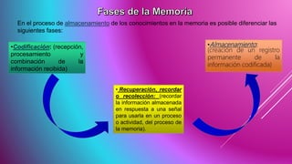 • Recuperación, recordar
o recolección: (recordar
la información almacenada
en respuesta a una señal
para usarla en un proceso
o actividad, del proceso de
la memoria).
En el proceso de almacenamiento de los conocimientos en la memoria es posible diferenciar las
siguientes fases:
•Codificación: (recepción,
procesamiento y
combinación de la
información recibida)
•Almacenamiento:
(creación de un registro
permanente de la
información codificada)
 