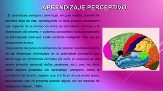 El aprendizaje perceptivo tiene lugar, en gran medida, durante los
primeros años de vida, constituyendo un lento proceso acumulativo
que depende de la interacción entre las actividades motrices y la
observación del entorno, y podemos considerarlo fundamentalmente
un prerrequisito para que exista conducta inteligente, mas que un
componente de esta.
Disponemos de pocos conocimientos de carácter cuantitativo acerca
de las diferencias individuales en el aprendizaje perceptivo que
tienen lugar en condiciones normales (es decir, en ausencia de una
severa privación sensorial, daños cerebrales, etc.), pero los datos
sobre algunos productos del aprendizaje perceptivo, como la
constancia del tamaño, sugieren que, a lo largo de una amplia gama,
este proceso casi no presenta relación alguna con las medidas de
inteligencia (Gibson, 1969).
 