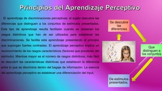 El aprendizaje de discriminaciones perceptivas: el sujeto descubre las
diferencias que distinguen a los conjuntos de estímulos presentados.
Este tipo de aprendizaje resulta facilitado cuando se destacan los
rasgos distintivos que han de ser utilizados para establecer las
discriminaciones. Se facilita este aprendizaje presentando al principio
que supongan fuertes contrastes. El aprendizaje perceptivo implica un
reconocimiento de los rasgos característicos (factores que provienen del
estímulo). Mientras mayor es el número de rasgos distintivos, más fácil
es descubrir las características distintivas que establecen la diferencia
entre lo que se discrimina dentro del bagaje de información. La esencia
del aprendizaje perceptivo es establecer una diferenciación del input.
 