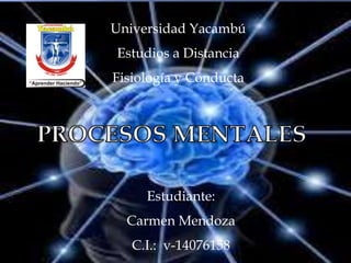 Universidad Yacambú
Estudios a Distancia
Fisiología y Conducta
Estudiante:
Carmen Mendoza
C.I.: v-14076158
 