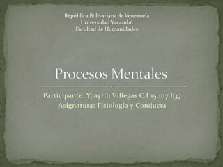 Participante: Yoayrib Villegas C.I 15.107.637
Asignatura: Fisiología y Conducta
República Bolivariana de Venezuela
Universidad Yacambú
Facultad de Humanidades
 