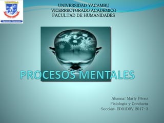 Alumna: Marly Pérez
Fisiología y Conducta
Sección: ED01D0V 2017-3
UNIVERSIDAD YACAMBU
VICERRECTORADO ACADEMICO
FACULTAD DE HUMANIDADES
 