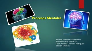 Alumna: Valentina Álvarez ramos
Expediente: HPS-153-00744
Prof.: Xiomara Coromoto Rodríguez
Sección: ED02D0V
Procesos Mentales
 