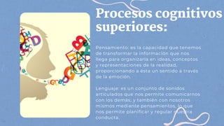 Procesos cognitivos
superiores:
Pensamiento: es la capacidad que tenemos
de transformar la información que nos
llega para organizarla en ideas, conceptos
y representaciones de la realidad,
proporcionando a ésta un sentido a través
de la emoción.
Lenguaje: es un conjunto de sonidos
articulados que nos permite comunicarnos
con los demás; y también con nosotros
mismos mediante pensamientos, lo que
nos permite planificar y regular nuestra
conducta.
 