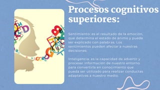 Procesos cognitivos
superiores:
Sentimiento: es el resultado de la emoción,
que determina el estado de ánimo y puede
ser explicado con palabras. Los
sentimientos pueden afectar a nuestras
decisiones.
Inteligencia: es la capacidad de advertir y
procesar información de nuestro entorno
para convertirla en conocimiento que
pueda ser utilizado para realizar conductas
adaptativas a nuestro medio.
 