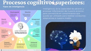 Procesos cognitivos superiores:
Inteligencia: es la capacidad de advertir y
procesar información de nuestro entorno
para convertirla en conocimiento que
pueda ser utilizado para realizar conductas
adaptativas a nuestro medio.
Tipos de Inteligencia
 