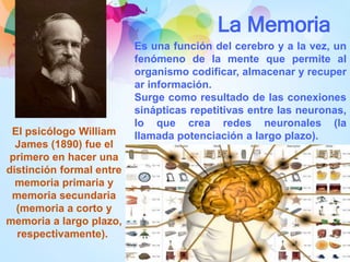 La Memoria
Es una función del cerebro y a la vez, un
fenómeno de la mente que permite al
organismo codificar, almacenar y recuper
ar información.
Surge como resultado de las conexiones
sinápticas repetitivas entre las neuronas,
lo que crea redes neuronales (la
llamada potenciación a largo plazo).El psicólogo William
James (1890) fue el
primero en hacer una
distinción formal entre
memoria primaria y
memoria secundaria
(memoria a corto y
memoria a largo plazo,
respectivamente).
 