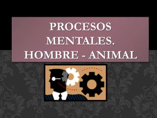 PROCESOS
MENTALES.
HOMBRE - ANIMAL
 