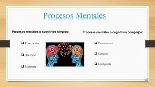 Procesos mentales o cognitivos simples: Procesos mentales o cognitivos complejos:
 Percepción
 Atención
 Memoria
 Pensamiento
 Lenguaje
 Inteligencia
 