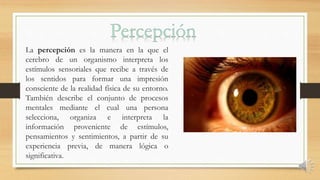 La percepción es la manera en la que el
cerebro de un organismo interpreta los
estímulos sensoriales que recibe a través de
los sentidos para formar una impresión
consciente de la realidad física de su entorno.
También describe el conjunto de procesos
mentales mediante el cual una persona
selecciona, organiza e interpreta la
información proveniente de estímulos,
pensamientos y sentimientos, a partir de su
experiencia previa, de manera lógica o
significativa.
 