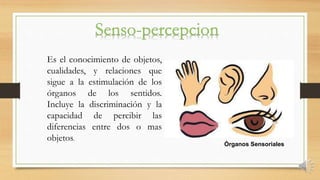 Es el conocimiento de objetos,
cualidades, y relaciones que
sigue a la estimulación de los
órganos de los sentidos.
Incluye la discriminación y la
capacidad de percibir las
diferencias entre dos o mas
objetos.
Órganos Sensoriales
 