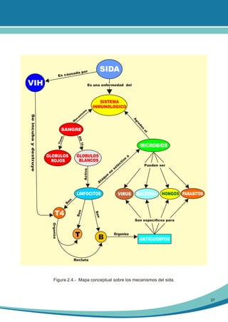 SIDA

or
sada p
E s c au

VIH

Es una enfermedad del

SISTEMA
INMUNOLOGICO
sm

o

gr
A
en
ed

ne

al

SANGRE
Tie

a
e t
Alr

GLOBULOS
BLANCOS
Activo

GLOBULOS
ROJOS

MICROBIOS

e
qu
ta
A

LINFOCITOS

no

o
iv
ct
le
se

a

VIRUS

Pueden ser

BACTERIA

HONGOS PARASITOS

n
So
Son

T4

Son

Se incuba y destruye

i
an
ec
M

Son específicos para
Organiza

T

B

Organiza

ANTICUERPOS

Recluta

Figura 2.4.- Mapa conceptual sobre los mecanismos del sida.

37

 