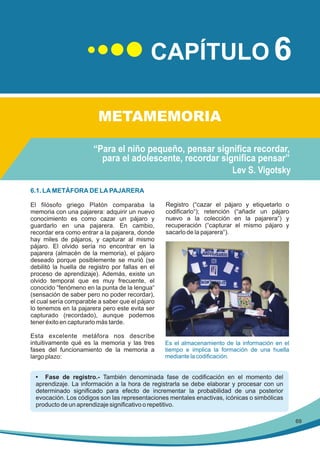 CAPÍTULO 6
METAMEMORIA
“Para el niño pequeño, pensar significa recordar,
para el adolescente, recordar significa pensar”
Lev S. Vigotsky
6.1. LA METÁFORA DE LA PAJARERA
El filósofo griego Platón comparaba la
memoria con una pajarera: adquirir un nuevo
conocimiento es como cazar un pájaro y
guardarlo en una pajarera. En cambio,
recordar era como entrar a la pajarera, donde
hay miles de pájaros, y capturar al mismo
pájaro. El olvido sería no encontrar en la
pajarera (almacén de la memoria), el pájaro
deseado porque posiblemente se murió (se
debilitó la huella de registro por fallas en el
proceso de aprendizaje). Además, existe un
olvido temporal que es muy frecuente, el
conocido “fenómeno en la punta de la lengua“
(sensación de saber pero no poder recordar),
el cual sería comparable a saber que el pájaro
lo tenemos en la pajarera pero este evita ser
capturado (recordado), aunque podemos
tener éxito en capturarlo más tarde.
Esta excelente metáfora nos describe
intuitivamente qué es la memoria y las tres
fases del funcionamiento de la memoria a
largo plazo:

Registro (“cazar el pájaro y etiquetarlo o
codificarlo“); retención (“añadir un pájaro
nuevo a la colección en la pajarera“) y
recuperación (“capturar el mismo pájaro y
sacarlo de la pajarera“).

Es el almacenamiento de la información en el
tiempo e implica la formación de una huella
mediante la codificación.

• Fase de registro.- También denominada fase de codificación en el momento del
aprendizaje. La información a la hora de registrarla se debe elaborar y procesar con un
determinado significado para efecto de incrementar la probabilidad de una posterior
evocación. Los códigos son las representaciones mentales enactivas, icónicas o simbólicas
producto de un aprendizaje significativo o repetitivo.
69

 