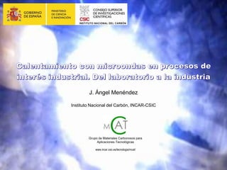 J. Ángel Menéndez
Instituto Nacional del Carbón, INCAR-CSIC
Grupo de Materiales Carbonosos para
Aplicaciones Tecnológicas
www.incar.csic.es/tecnologia/mcat/
 