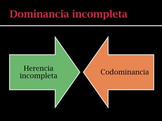 Herencia
             Codominancia
incompleta
 