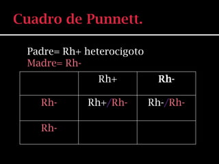 Padre= Rh+ heterocigoto
Madre= Rh-
              Rh+          Rh-

  Rh-      Rh+/Rh-        Rh-/Rh-

  Rh-
 