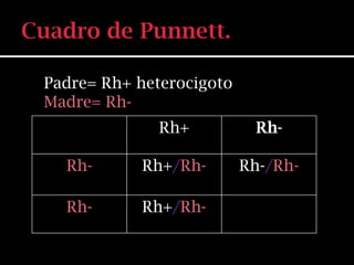 Padre= Rh+ heterocigoto
Madre= Rh-
              Rh+          Rh-

  Rh-      Rh+/Rh-        Rh-/Rh-

  Rh-      Rh+/Rh-
 