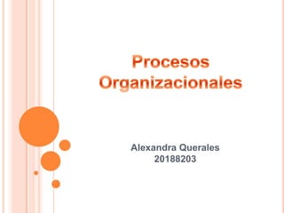 Alexandra Querales
     20188203
 