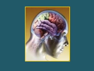 Procesos psicológicos para captar la realidad