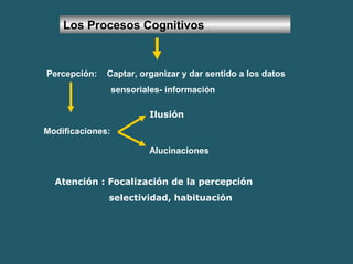 Los Procesos Cognitivos 
Percepción: Captar, organizar y dar sentido a los datos 
sensoriales- información 
Modificaciones: 
Ilusión 
Alucinaciones 
Atención : Focalización de la percepción 
selectividad, habituación 
 