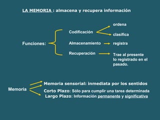 LA MEMORIA : almacena y recupera información 
Funciones: 
Codificación 
Almacenamiento 
Recuperación 
ordena 
clasifica 
registra 
Trae al presente 
lo registrado en el 
pasado. 
Memoria 
Memoria sensorial: inmediata por los sentidos 
Corto Plazo: Sólo para cumplir una tarea determinada 
Largo Plazo: Información permanente y significativa 
 