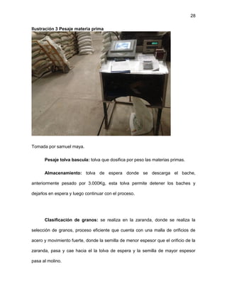 28
Ilustración 3 Pesaje materia prima
Tomada por samuel maya.
Pesaje tolva bascula: tolva que dosifica por peso las materias primas.
Almacenamiento: tolva de espera donde se descarga el bache,
anteriormente pesado por 3.000Kg, esta tolva permite detener los baches y
dejarlos en espera y luego continuar con el proceso.
Clasificación de granos: se realiza en la zaranda, donde se realiza la
selección de granos, proceso eficiente que cuenta con una malla de orificios de
acero y movimiento fuerte, donde la semilla de menor espesor que el orificio de la
zaranda, pasa y cae hacia el la tolva de espera y la semilla de mayor espesor
pasa al molino.
 