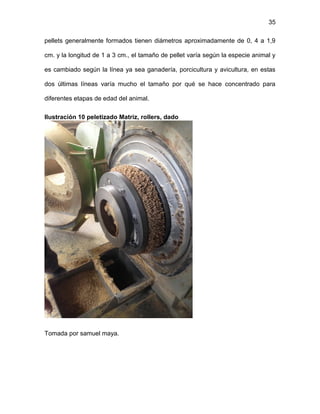 35
pellets generalmente formados tienen diámetros aproximadamente de 0, 4 a 1,9
cm. y la longitud de 1 a 3 cm., el tamaño de pellet varía según la especie animal y
es cambiado según la línea ya sea ganadería, porcicultura y avicultura, en estas
dos últimas líneas varía mucho el tamaño por qué se hace concentrado para
diferentes etapas de edad del animal.
Ilustración 10 peletizado Matriz, rollers, dado
Tomada por samuel maya.
 